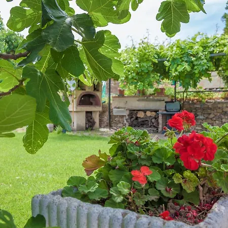 Country Il Passatempo *