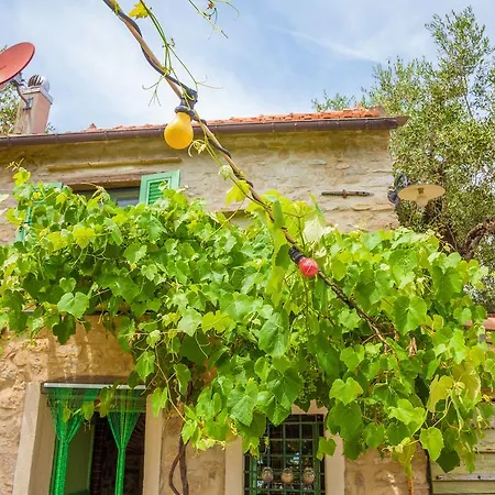 Country Il Passatempo *