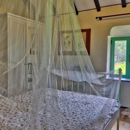 Country Il Passatempo *