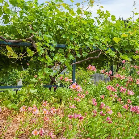 Country Il Passatempo * دْيانو مارينا