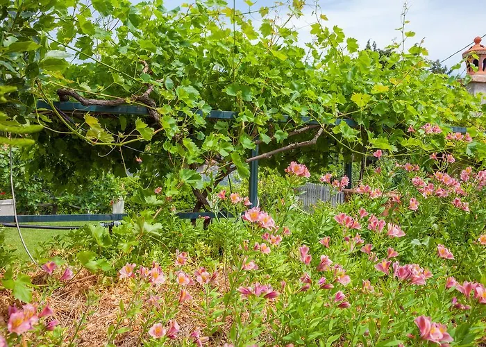 Country Il Passatempo * Diano Marina