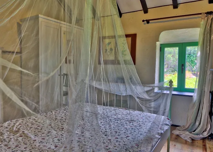 Country Il Passatempo *